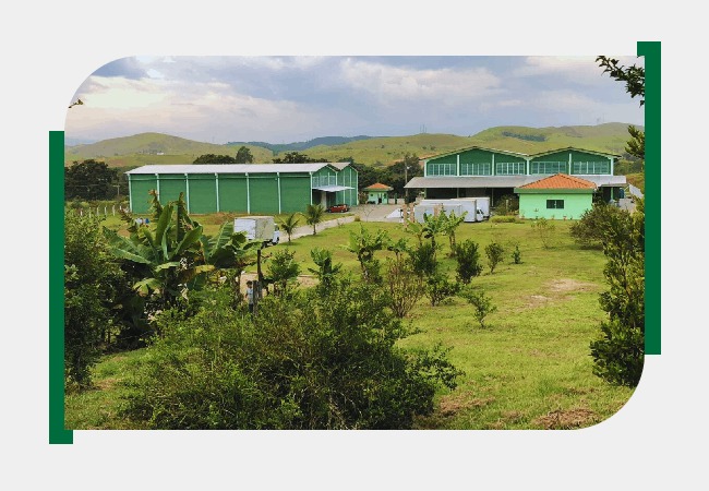 Uma empresa dedicada a fornecer soluções de alimentação essenciais